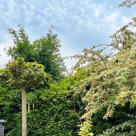 Lejlighed Fantastisch Met Eigen Lift En Eigen Ingang Amsterdam